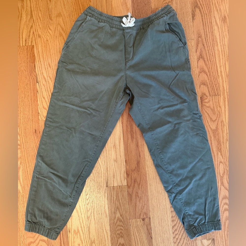 Marine Layer Men's Green Joggers